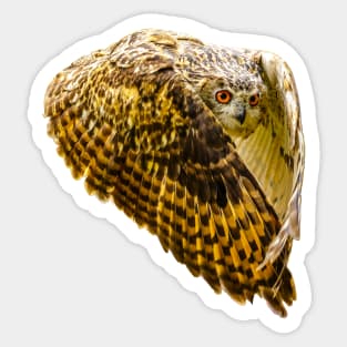 European Eagle Owl Sticker